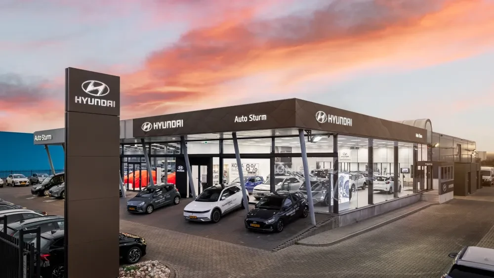 Hyundai Goes