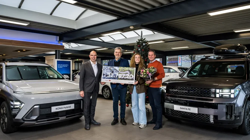 hyundai winterinspectie