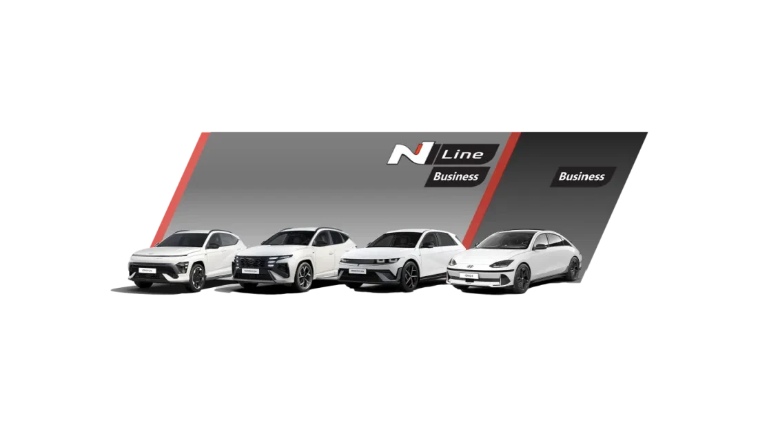 Hyundai Business overzicht