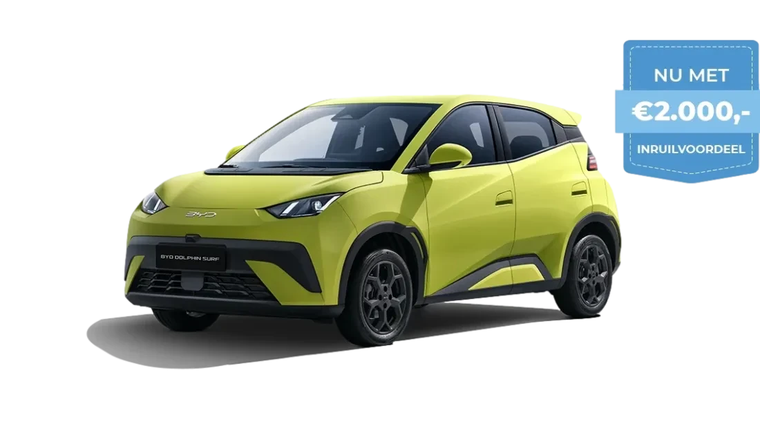 DOLPHIN SURF actieoverzicht